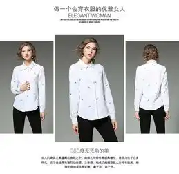 ns春季新品高端女装ol气质翻领刺绣长袖衬衫