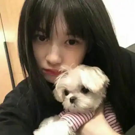 女生与狗狗头像,女生与狗狗脸对脸的头像图片