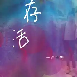 可仰其实已不想说太多全网上线
