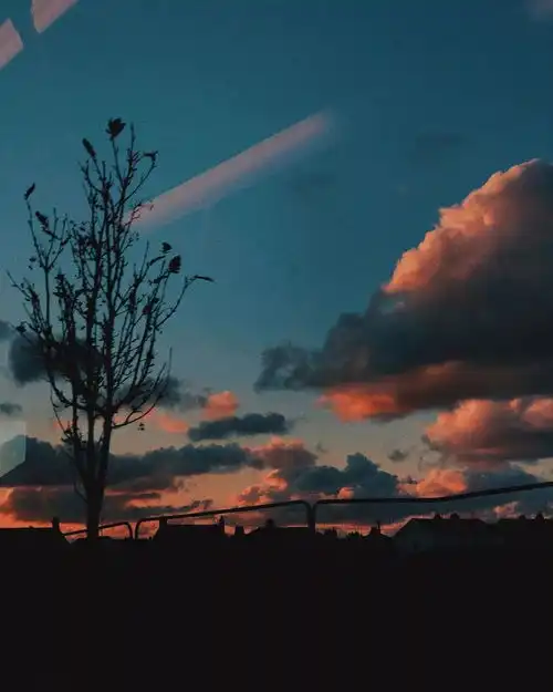 奔赴一场夕阳
