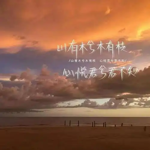情感文案,生活不会辜负用心的人