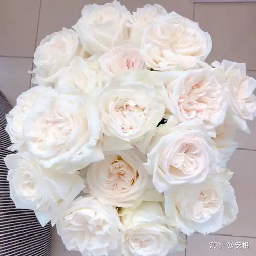 鲜花怎么搭配的好看还不贵