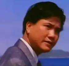 万梓良的精彩图片
