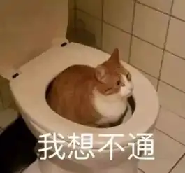 女子涉嫌非法集资2.5亿元跑路因颜值太高被一眼认出