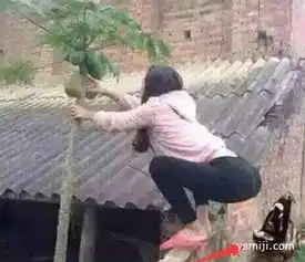 看下面,美女要惨了