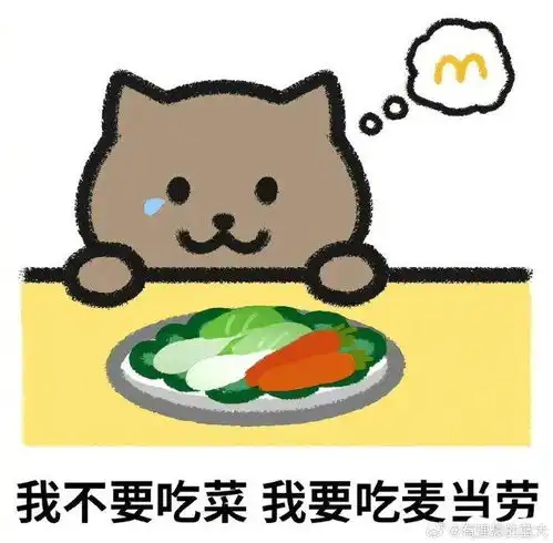 21岁重庆男子跳江事件男主胖猫的头像