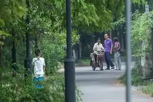 杭州11岁男孩开学第一天竟然在搬砖他父亲让他退学去做这件事,老师爷爷都在反对