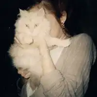 求抱着狗或猫或兔或娃娃的女生头像有多少发多少啊
