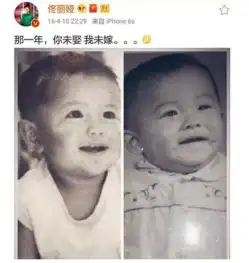 网友为何排队支持佟丽娅跟陈思诚离婚