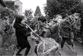 钱江晚报