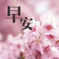 2019早安心语带字图片早安心语简单一句话图片