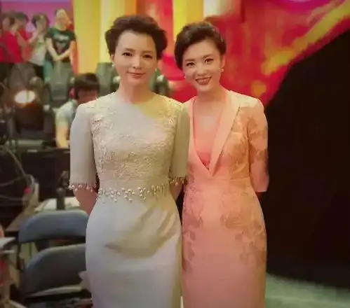 周涛与董卿包装后都是女神,素颜却有天壤之别,一个清秀一个老土