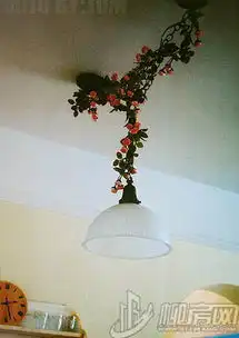 80后潮流美眉闺房探秘20张自拍图看过瘾
