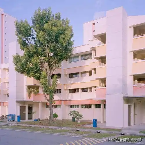 少女心爆棚照片这样拍,超级好看
