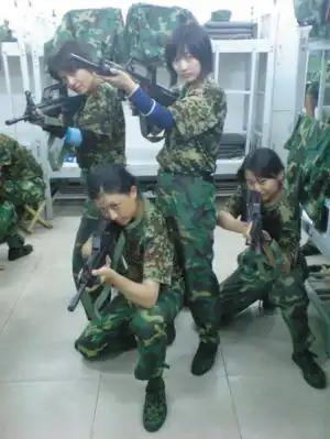 两会冷艳美女翻译走红高中时就有人说其像赵薇