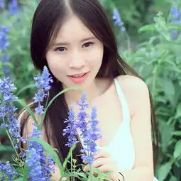薰衣草百合花qq女生分组qq分组扣扣居