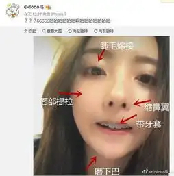 王思聪唯一一个纯天然女友被质疑整容,豆得儿幽默化解尴尬