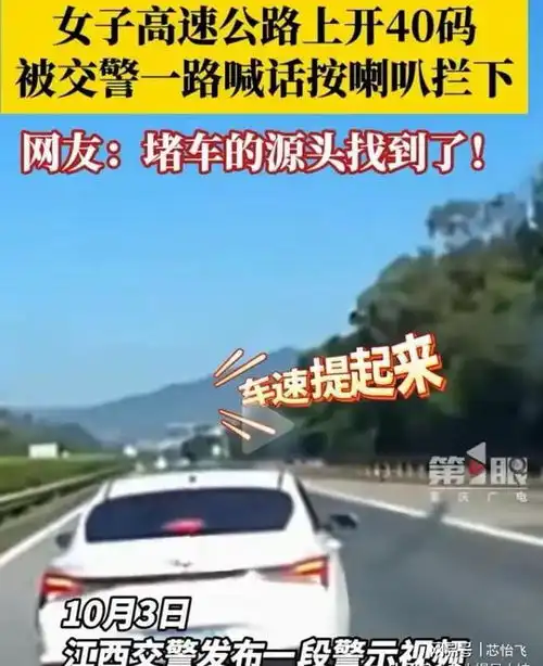 离大谱女司机高速开40码交警鸣笛提醒女司机我开60码追尾汽车速度小轿车网易订阅