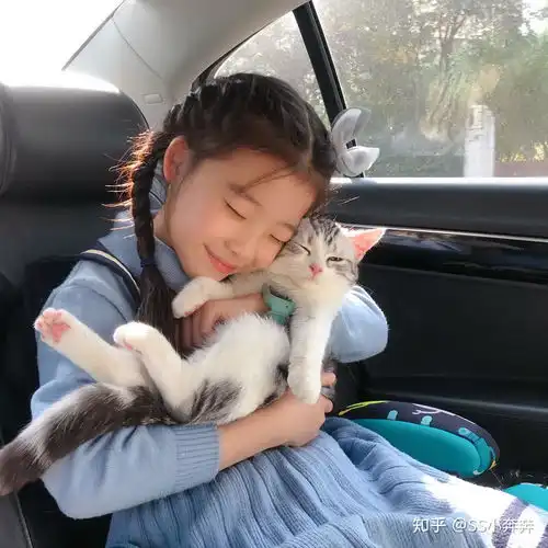 甜甜私房猫起司猫coco的日常