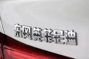 汽车抠标率哪家强国产特斯拉当属王中王