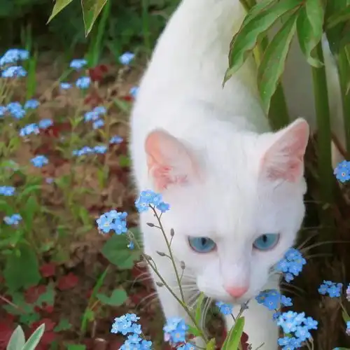 今日头像来日方长