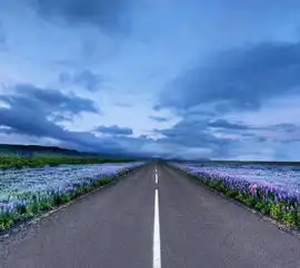 人生的旅途中,会看到很多风景,来特别文摘说说您的旅途见闻吧