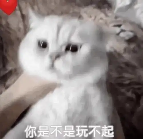 玩羞耻play的霸总们,已经得不到女孩的心了
