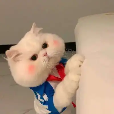 甜到骨子里的情话