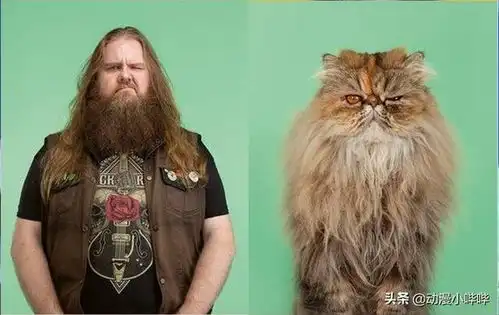 猫咪拟人化看腻了来瞧瞧艺术家创作的猫咪拟真人化吧