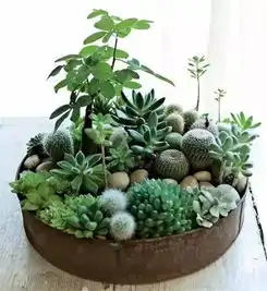 用心发现,生活中那些小美好