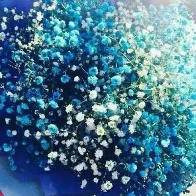 满天星头像女生专用高清图片好看的满天星唯美图片大全