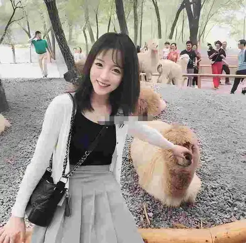 爸妈执念生子,思儿成狂,打算顶着六十二岁高龄去黑诊所做试管
