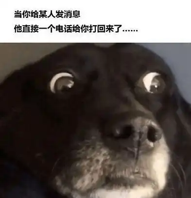 社恐人的社交日常,每一张都好真实啊