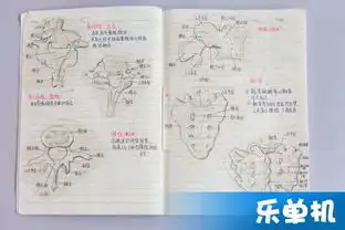 大二女生解剖学笔记走红浙江中医药大学冯燕飞笔记曝光