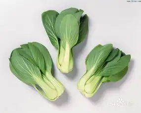 做饭好吃的技巧