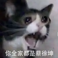鸡你太美表情包