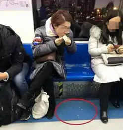 上海凤爪女被行拘曾逃票并5次在公交地铁上吃东西