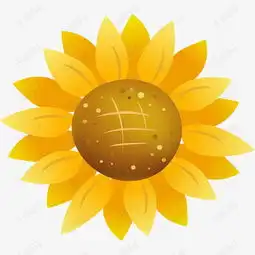 向日葵唯美花朵图素材图片免费下载高清psd千库网图片编号9777835