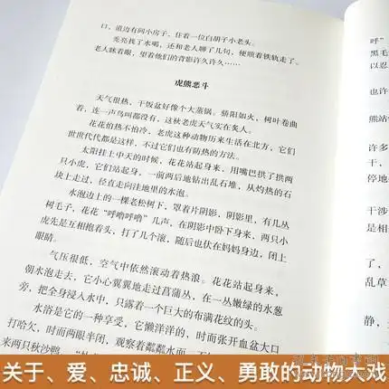 沈石溪动物小说全集疤脸狮王系列全套三四年级课外书必读812岁老师推荐五六年级中小学生课外阅读书籍畅销儿童文学读物1015岁
