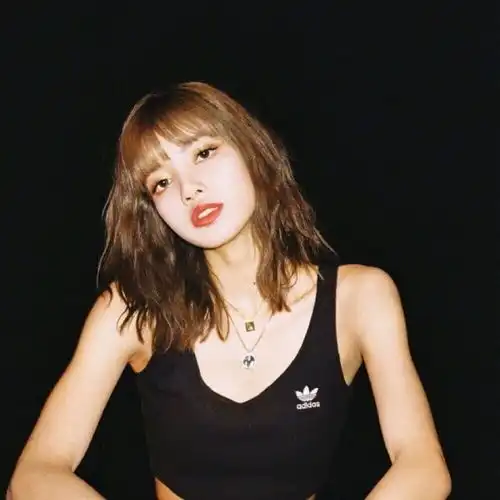 blackpink头像你拿枪做什么是要狙击我的心吗