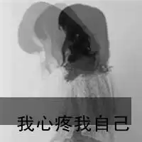 带字头像的纯色图