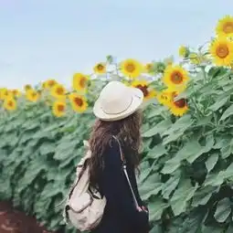 如果有一天,我们断了联系
