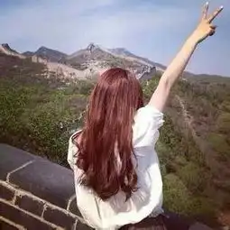 求这张的情侣头像