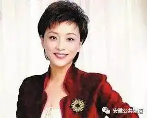 盘点明星婚礼上的十大名嘴司仪