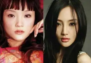 李小璐8岁挂历照呆萌可爱,可现在她的脸变化无常