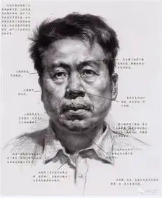 素描人像如何把握黑白灰关系,明暗交界线