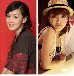 撞脸之明星篇王菲俞飞鸿,孙俪蒋勤勤,他们有关系只因长得像