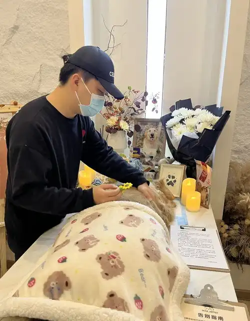 00后创业为宠物办葬礼,年营收百万