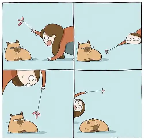 养猫人的n种迷惑行为,猫咪我家铲屎的是不是欠咬