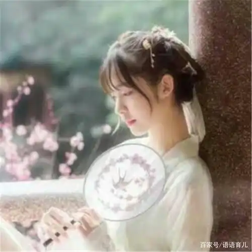 种田穿成山野女娃,掌心红莲胎记暗藏空间,获满城商铺成包租婆